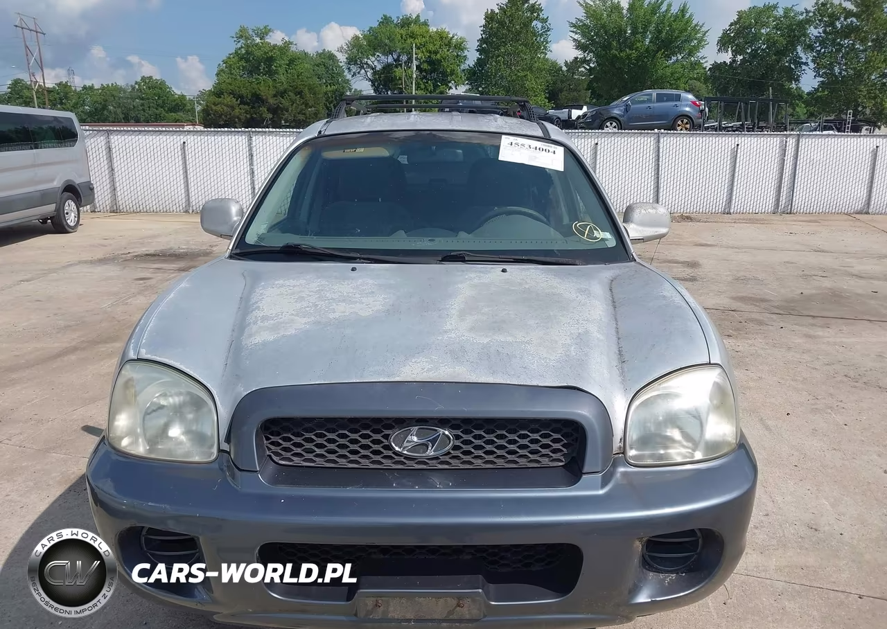 2004 Hyundai Santa Fe VIN:KM8SB12B14U657892 - 12