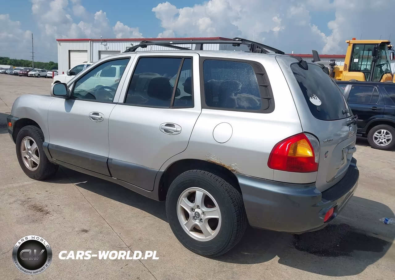 2004 Hyundai Santa Fe VIN:KM8SB12B14U657892 - 3
