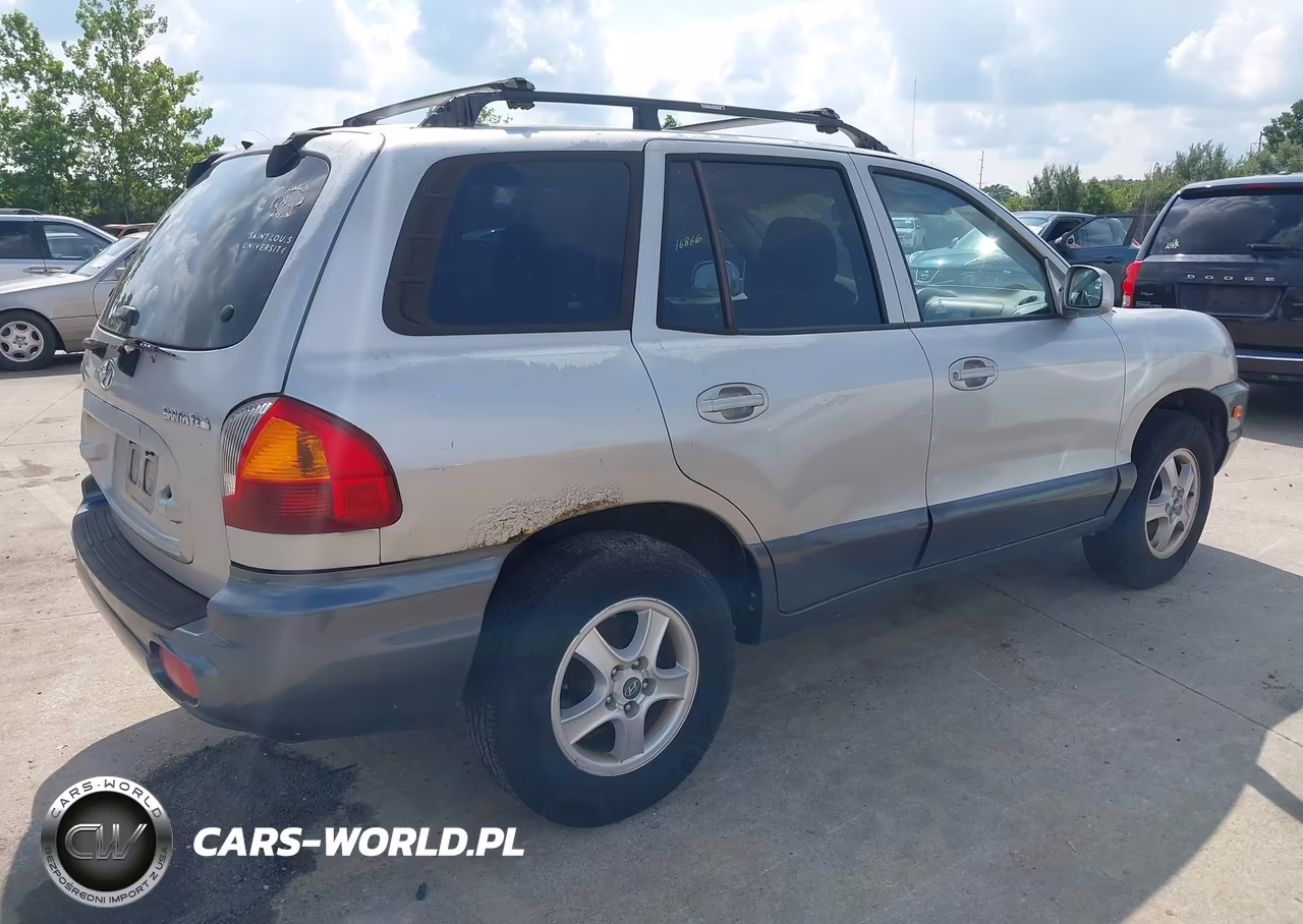 2004 Hyundai Santa Fe VIN:KM8SB12B14U657892 - 4