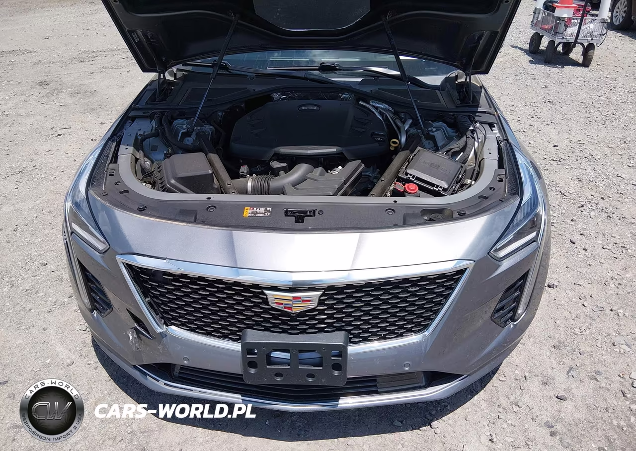 2020 Cadillac Ct6 Awd Premium Luxury VIN:1G6KE5RS7LU100043 - 10