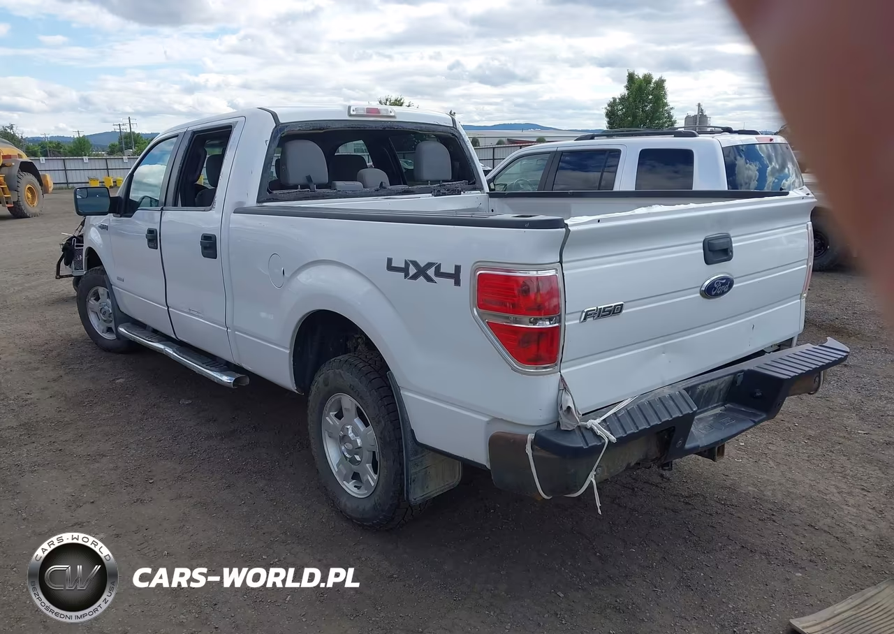 2013 Ford F-150 Fx4-King Ranch-Lariat-Limited-Platinum-Xl-Xlt VIN:1FTFW1ET6DFA62636 - 3