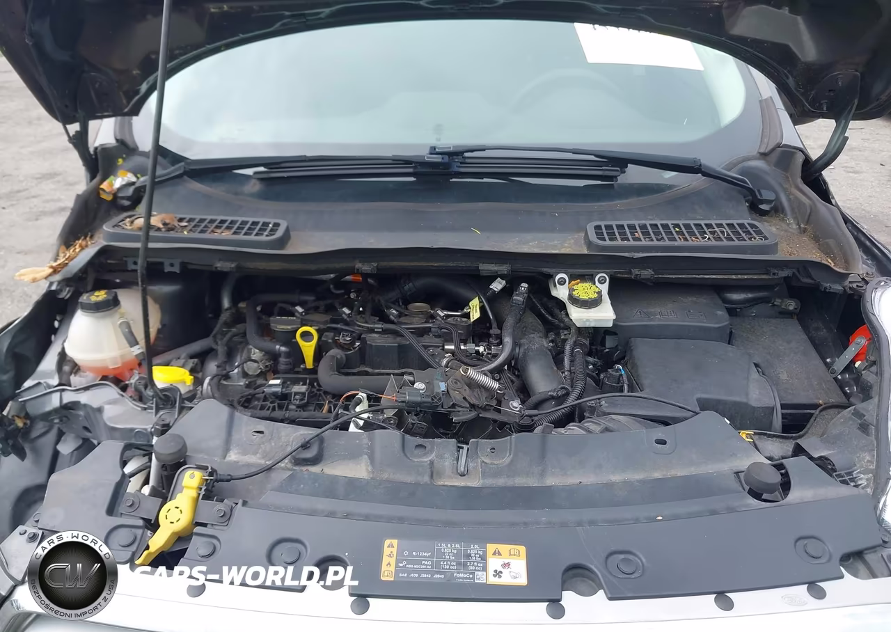 2019 Ford Escape Se VIN:1FMCU9GD4KUC05830 - 10