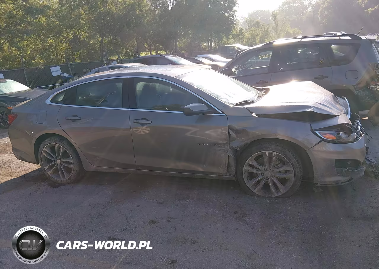2023 Chevrolet Malibu Fwd 1Lt VIN:1G1ZD5ST5PF195061 - 13