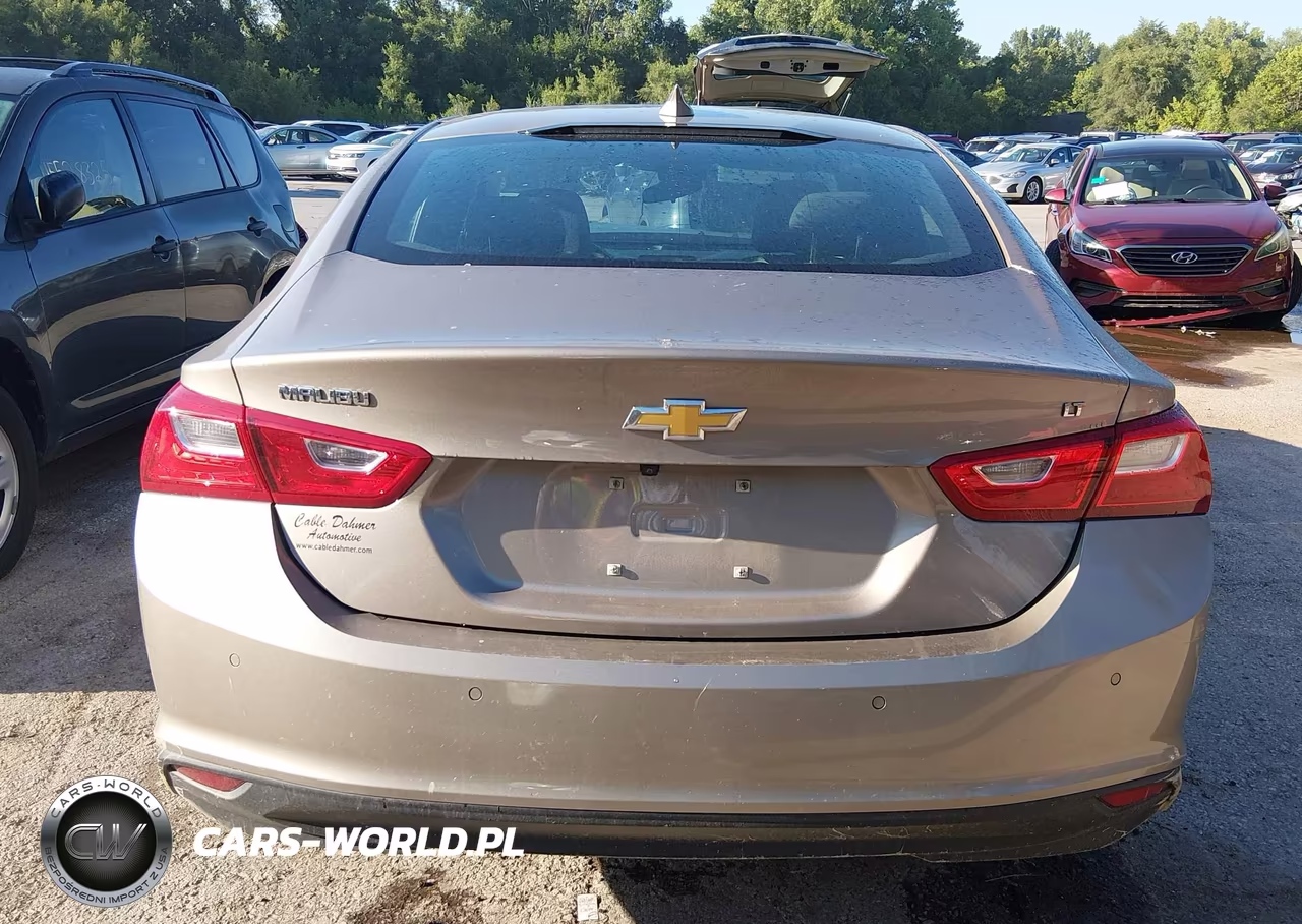 2023 Chevrolet Malibu Fwd 1Lt VIN:1G1ZD5ST5PF195061 - 16
