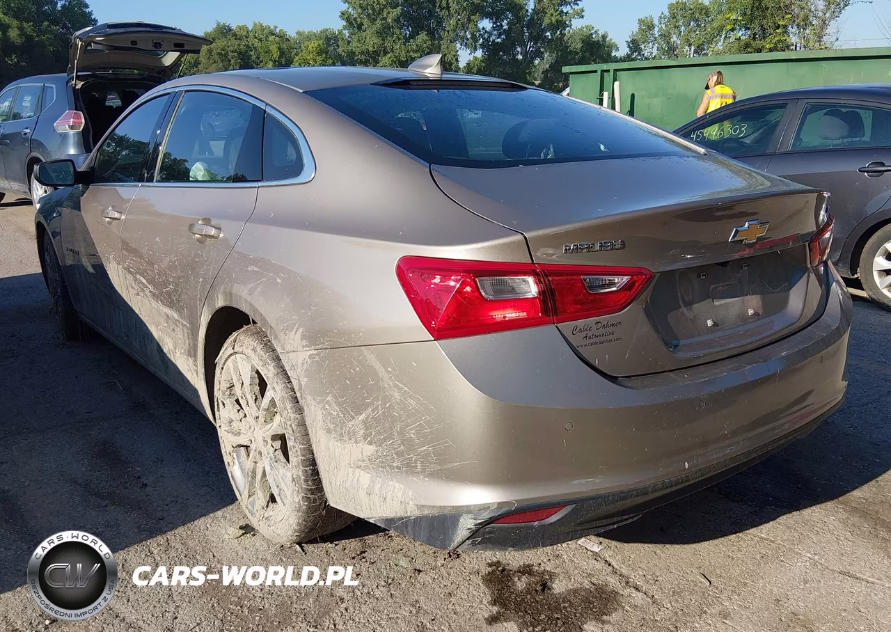 2023 Chevrolet Malibu Fwd 1Lt VIN:1G1ZD5ST5PF195061 - 3