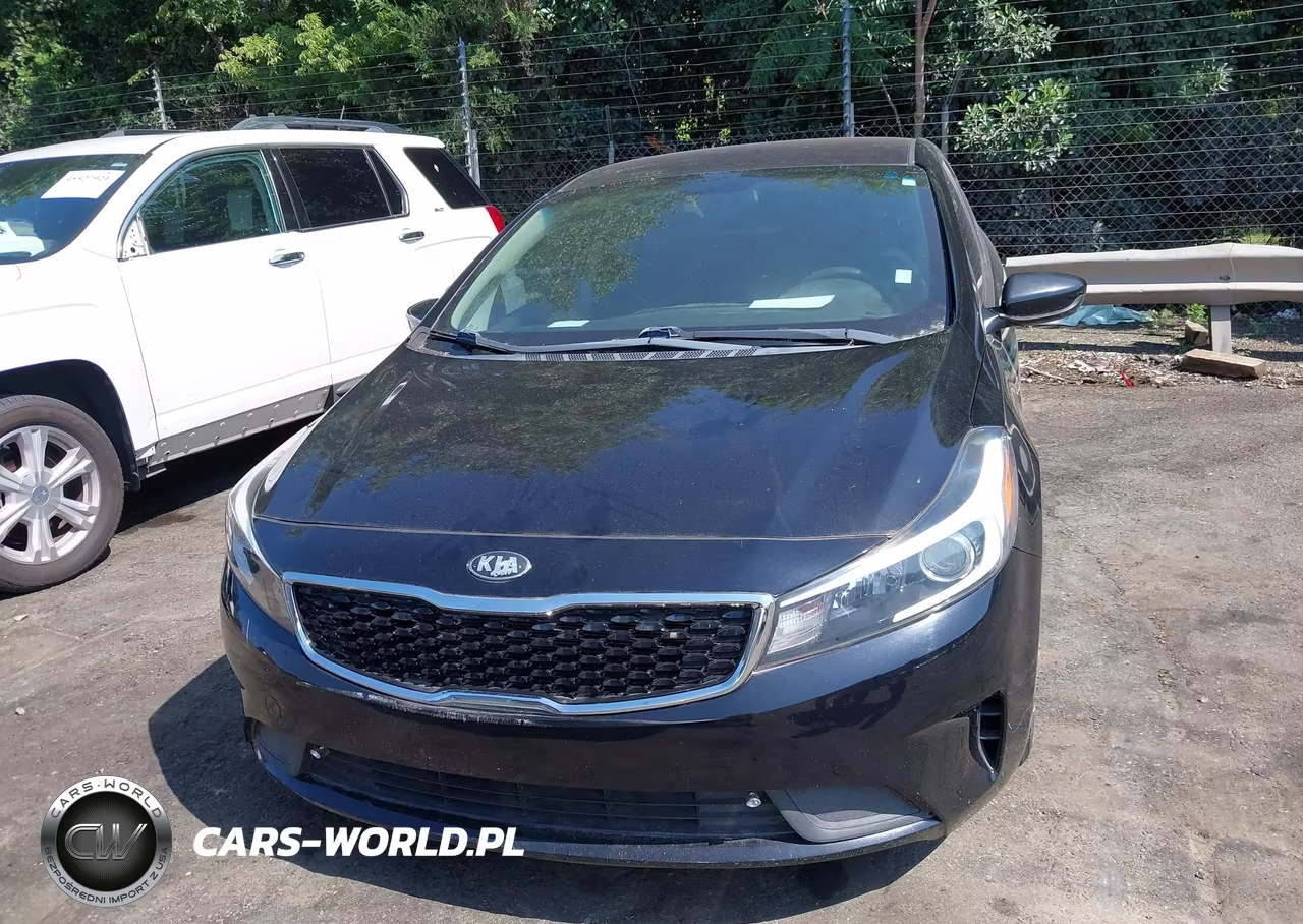 2018 Kia Forte Lx VIN:3KPFL4A7XJE256112 - 12