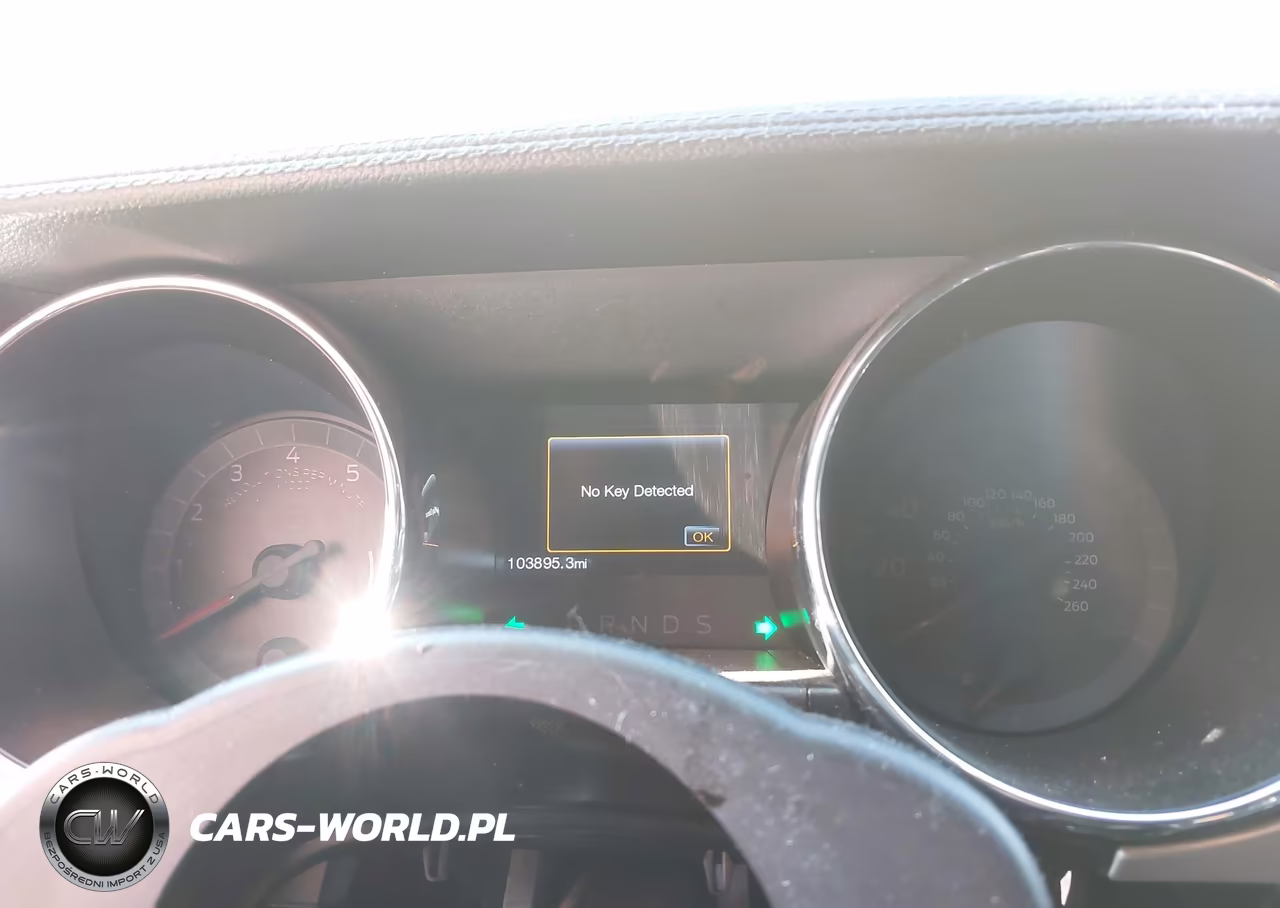 2016 Ford Mustang Ecoboost VIN:1FA6P8TH8G5301270 - 7