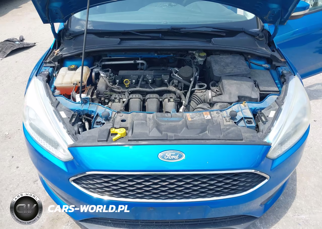 2015 Ford Focus Se VIN:1FADP3K20FL295031 - 10