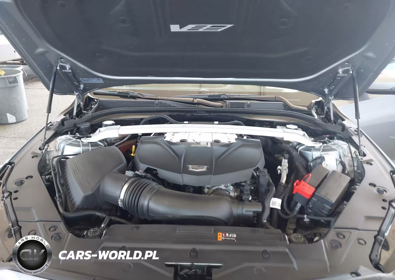 2024 Cadillac Ct5-V V-Series Blackwing VIN:1G6D35R69R0810403 - 10
