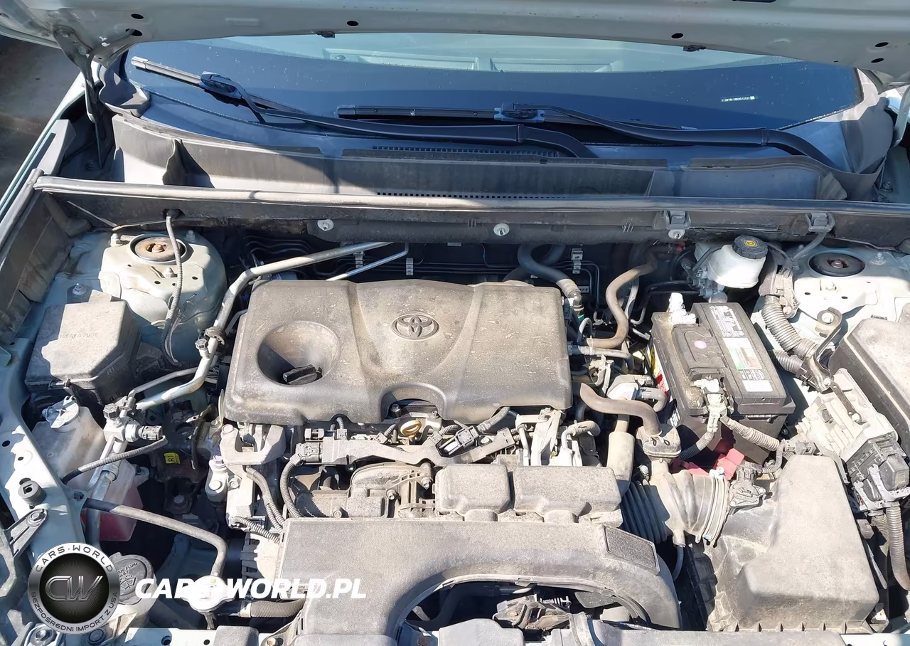 2019 Toyota Rav4 Xle VIN:2T3W1RFV8KW012037 - 10