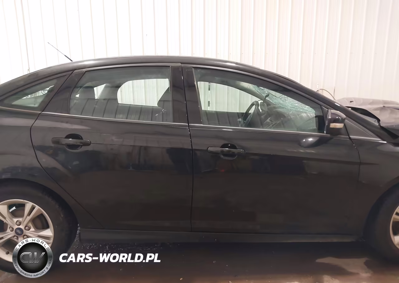2014 Ford Focus Se VIN:1FADP3F27EL304820 - 13
