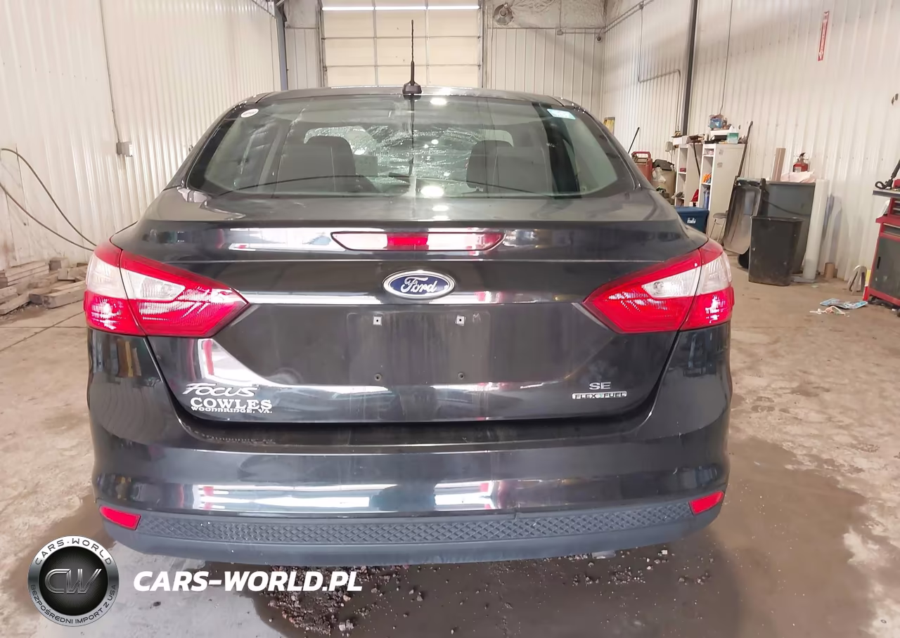 2014 Ford Focus Se VIN:1FADP3F27EL304820 - 16