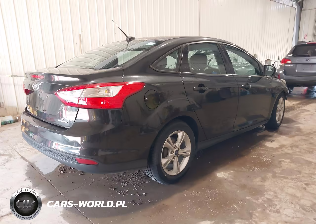 2014 Ford Focus Se VIN:1FADP3F27EL304820 - 4