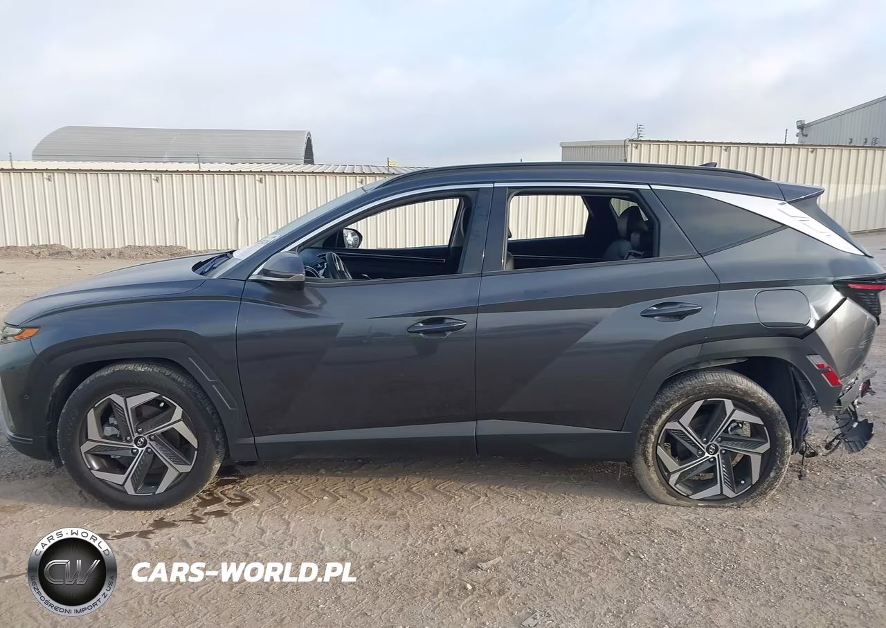 2024 Hyundai Tucson Limited VIN:5NMJE3DE3RH314266 - 14