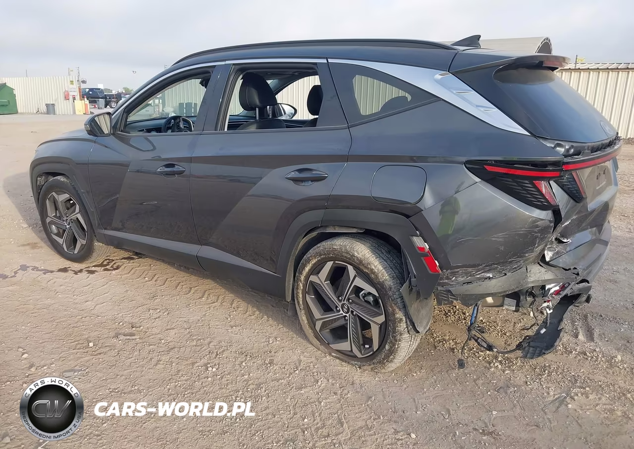 2024 Hyundai Tucson Limited VIN:5NMJE3DE3RH314266 - 3