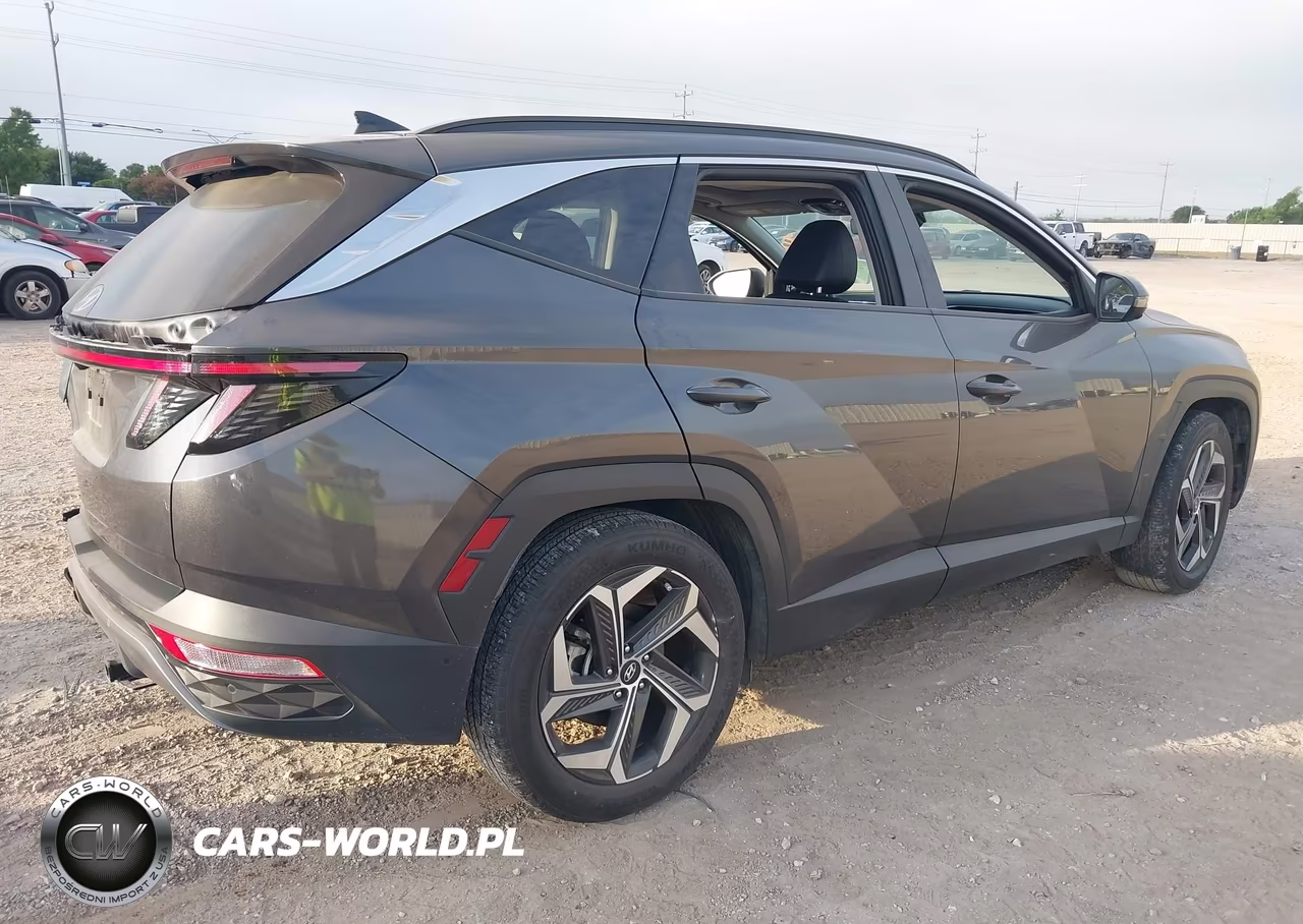 2024 Hyundai Tucson Limited VIN:5NMJE3DE3RH314266 - 4