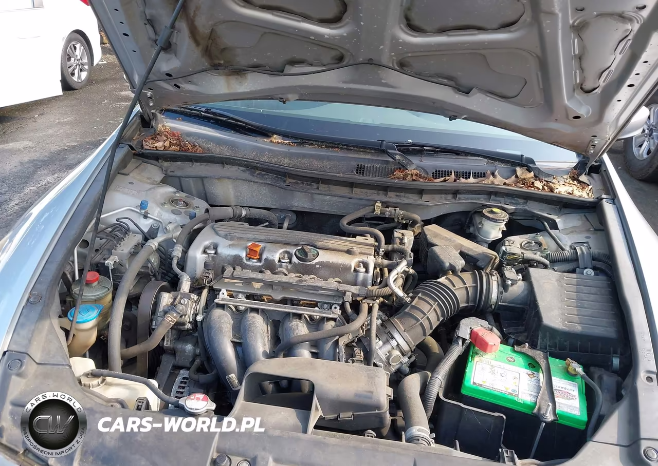 2010 Honda Accord 2.4 Lx VIN:1HGCP2F33AA045260 - 10