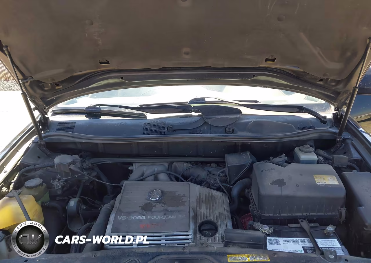1999 Lexus Rx 300 VIN:JT6HF10U1X0085183 - 10