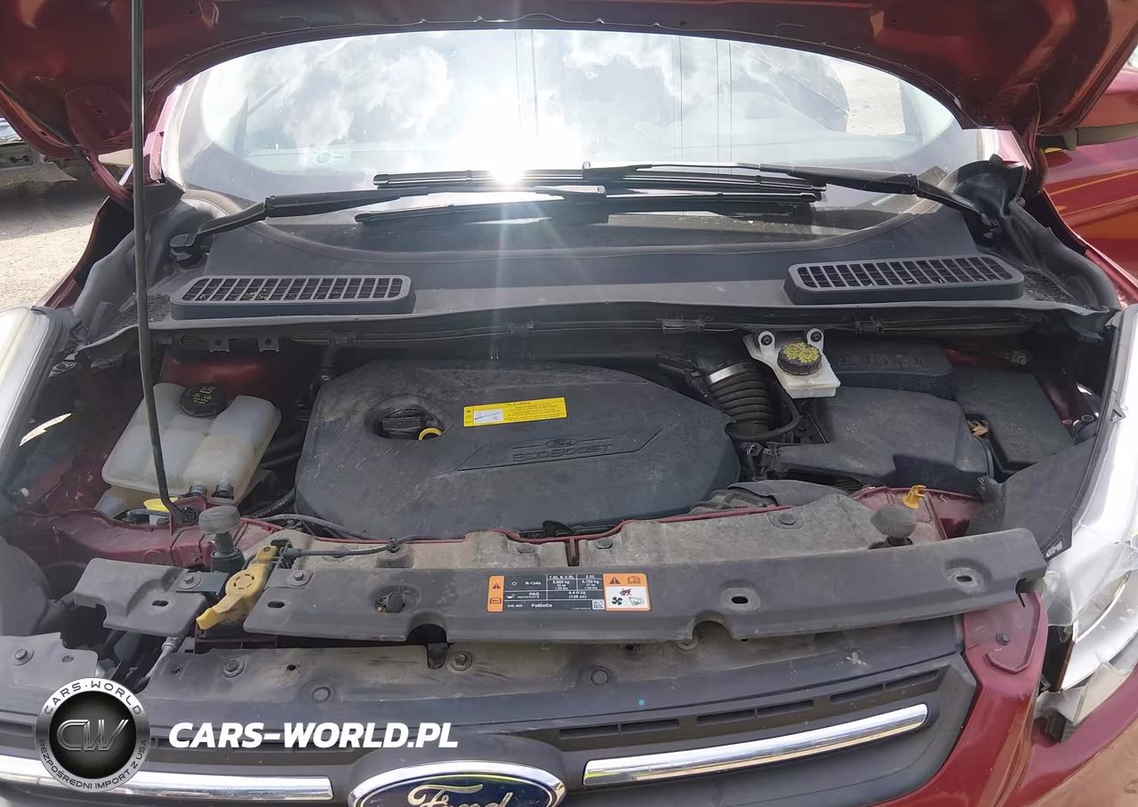 2016 Ford Escape Se VIN:1FMCU0GXXGUA63917 - 10