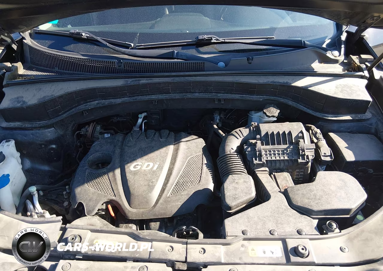 2014 Kia Sorento Lx VIN:5XYKTCA68EG506343 - 10