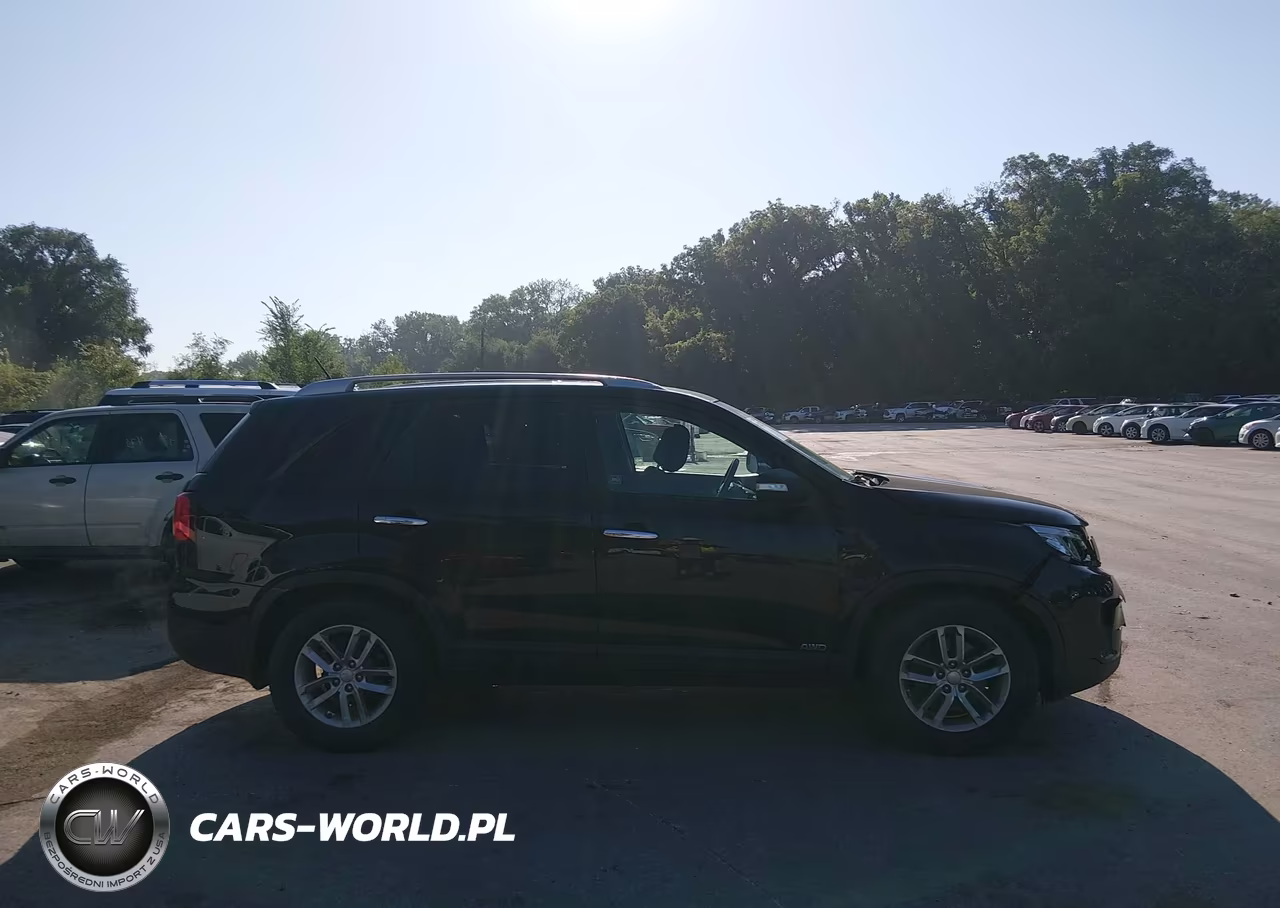 2014 Kia Sorento Lx VIN:5XYKTCA68EG506343 - 13