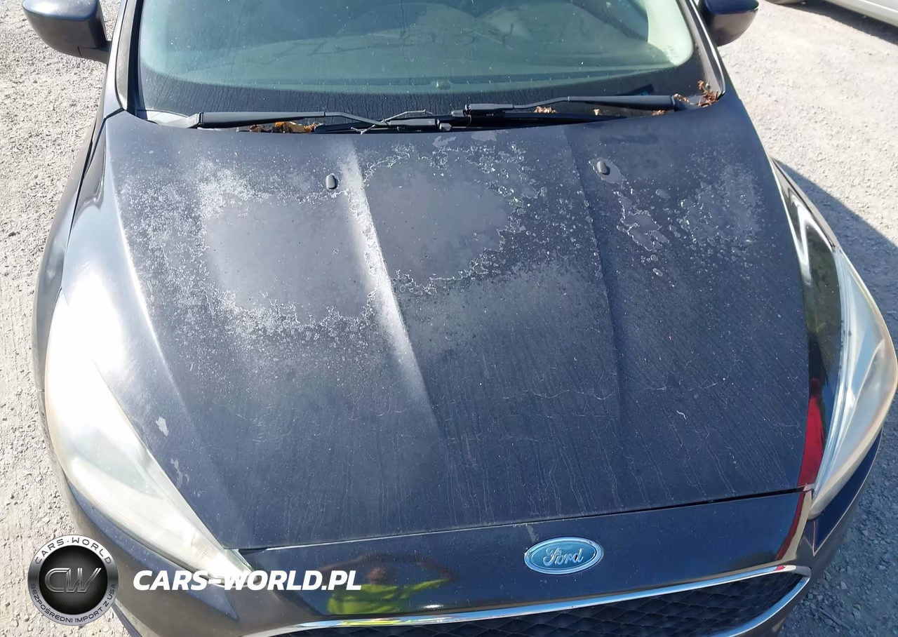 2018 Ford Focus Se VIN:1FADP3F21JL242924 - 13