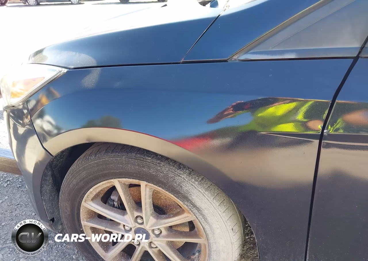 2018 Ford Focus Se VIN:1FADP3F21JL242924 - 16