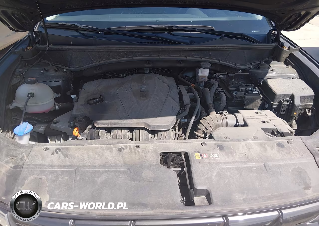 2024 Hyundai Tucson Sel VIN:5NMJBCDE4RH361671 - 10