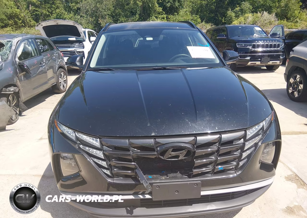 2024 Hyundai Tucson Sel VIN:5NMJBCDE4RH361671 - 12