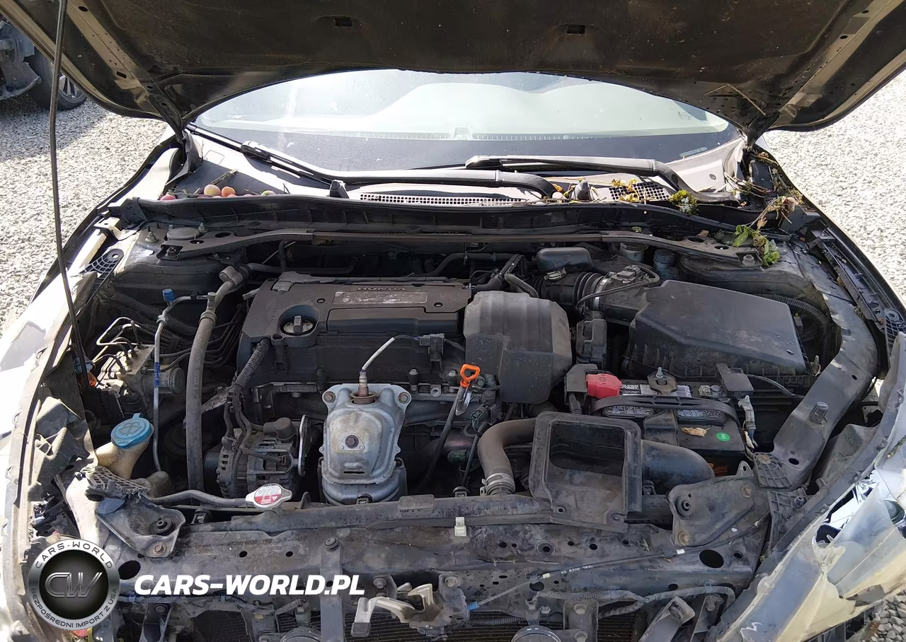 2013 Honda Accord Sport VIN:1HGCR2E51DA241831 - 10