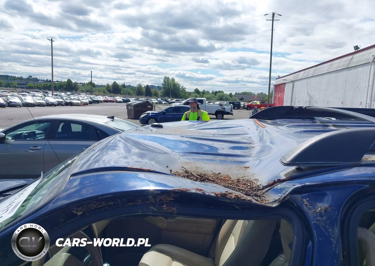 2008 Ford Explorer Eddie Bauer VIN:1FMEU74EX8UB19277 - 6