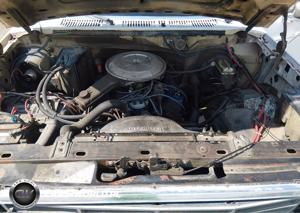 1982 Ford F250 VIN:1FTHF26Z1CPA21373 - 10