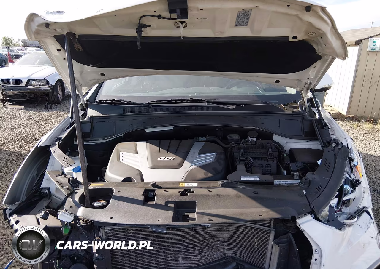 2017 Hyundai Santa Fe Limited Ultimate VIN:KM8SRDHF4HU244331 - 10