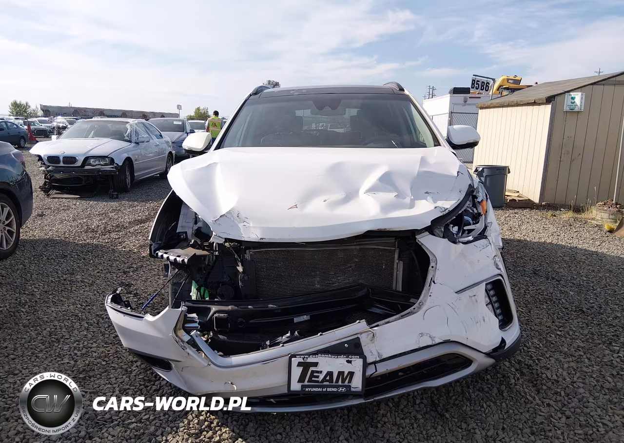 2017 Hyundai Santa Fe Limited Ultimate VIN:KM8SRDHF4HU244331 - 13