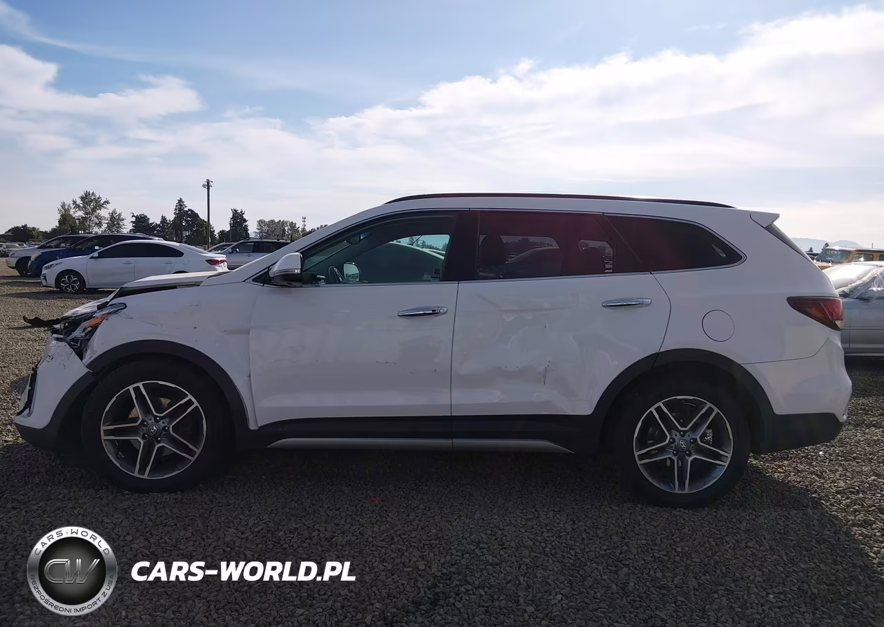 2017 Hyundai Santa Fe Limited Ultimate VIN:KM8SRDHF4HU244331 - 15