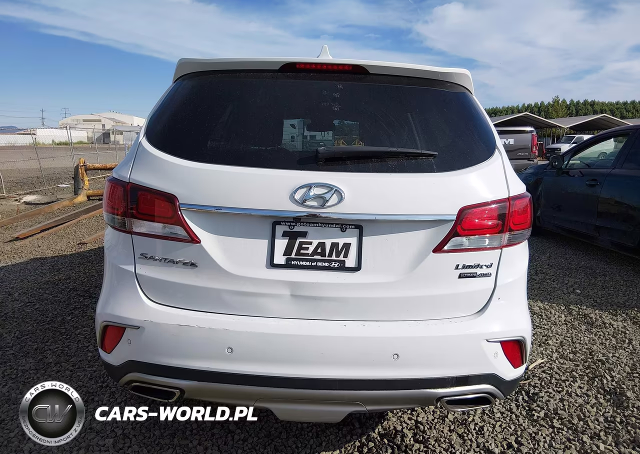2017 Hyundai Santa Fe Limited Ultimate VIN:KM8SRDHF4HU244331 - 17