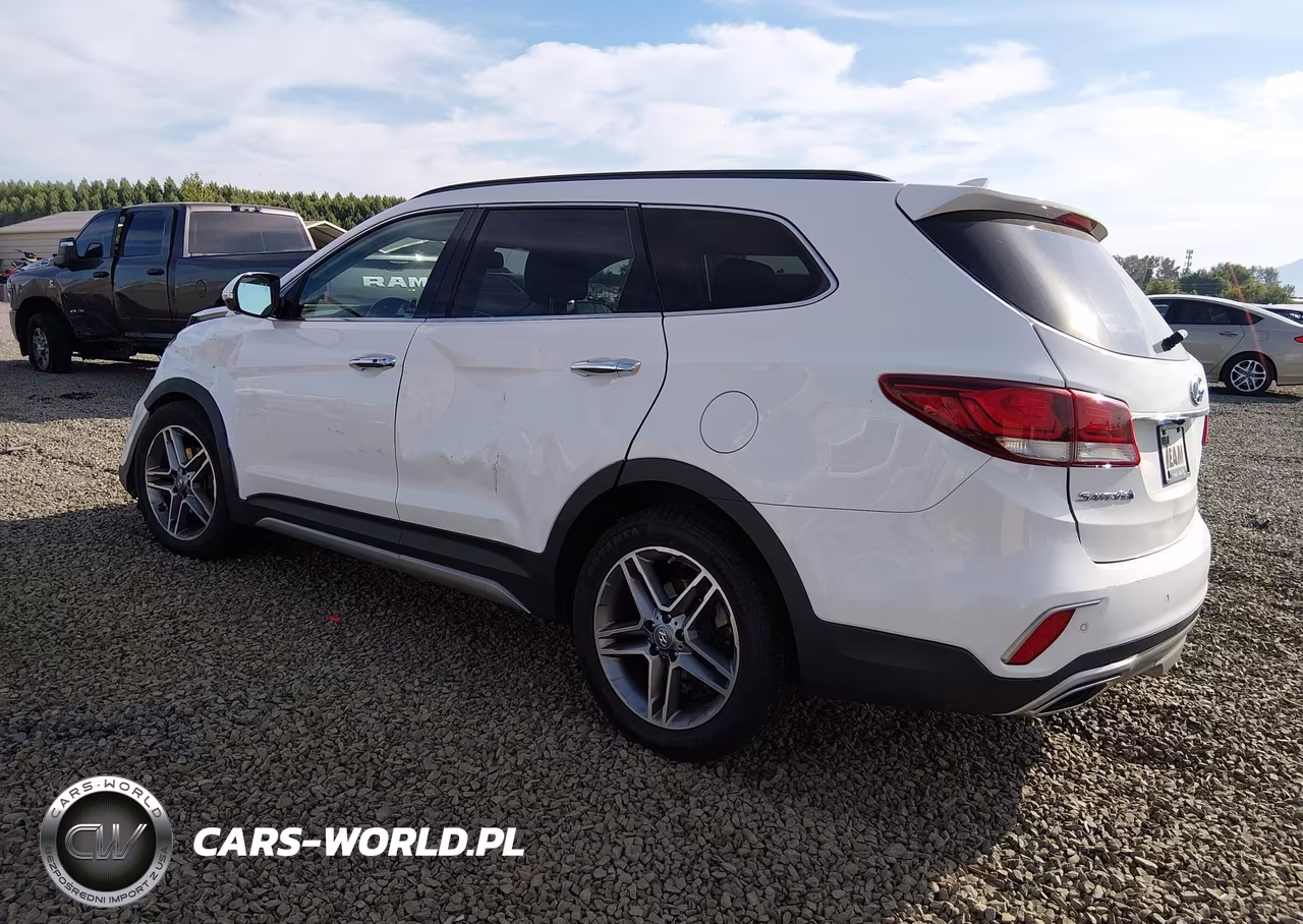 2017 Hyundai Santa Fe Limited Ultimate VIN:KM8SRDHF4HU244331 - 3