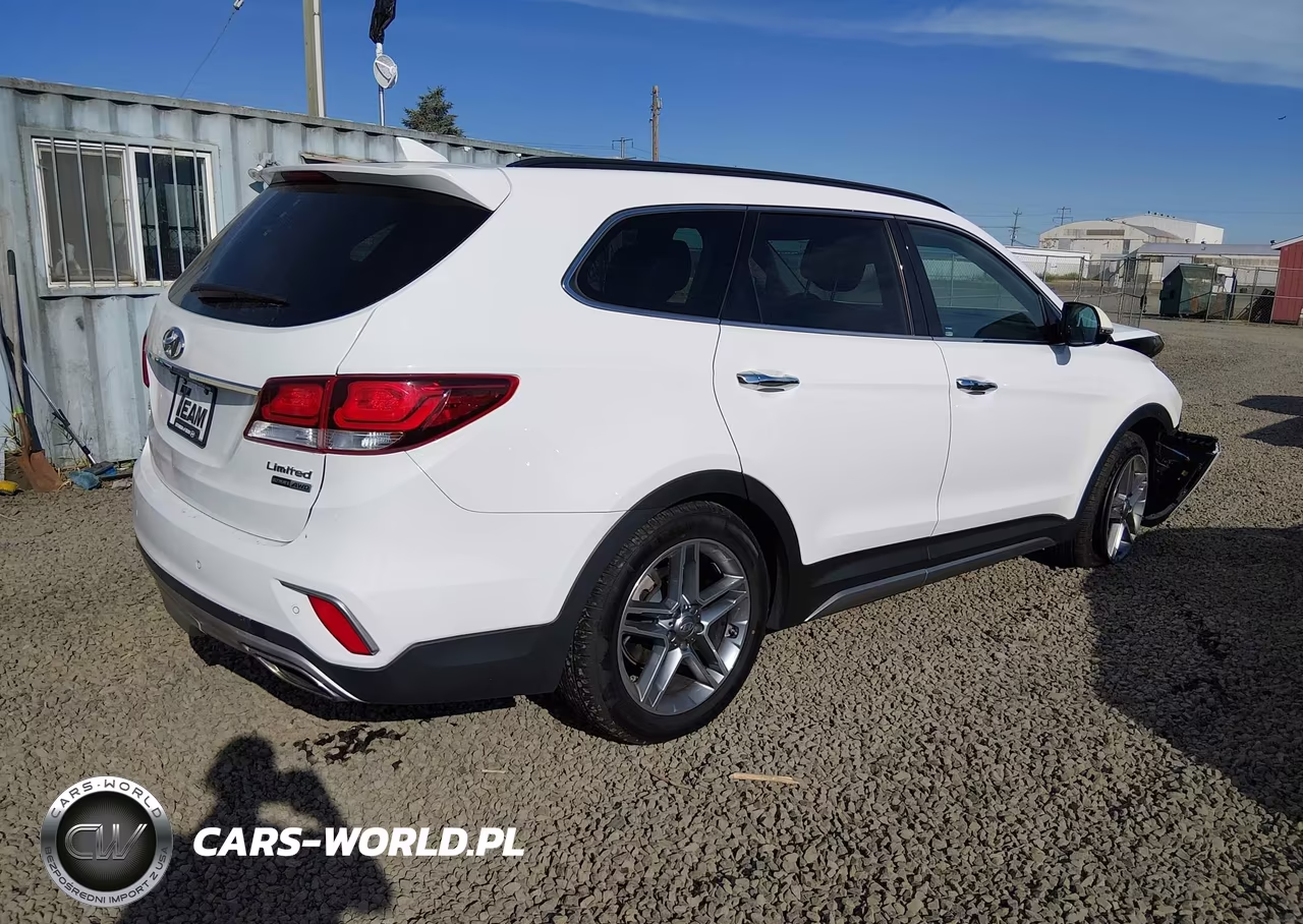 2017 Hyundai Santa Fe Limited Ultimate VIN:KM8SRDHF4HU244331 - 4