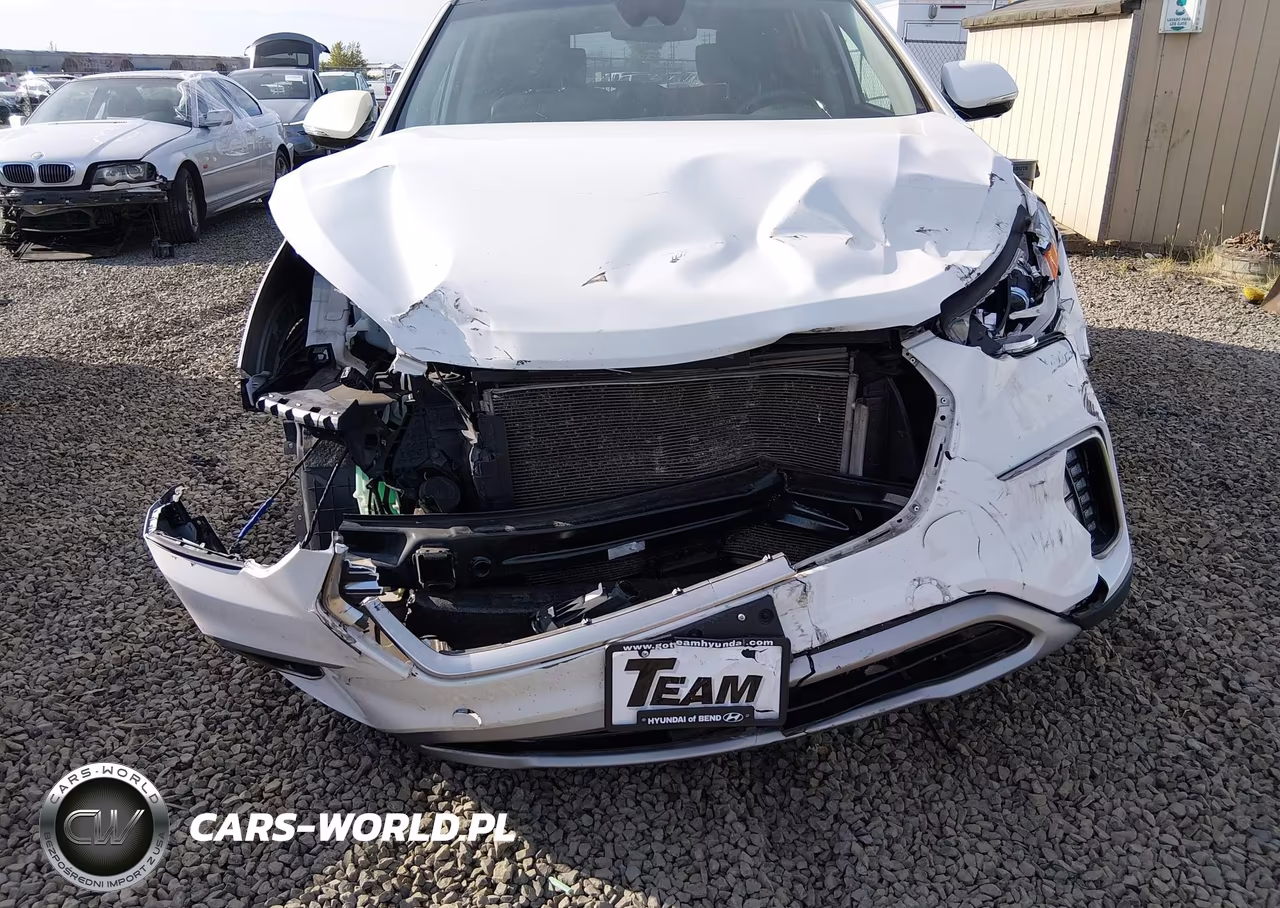 2017 Hyundai Santa Fe Limited Ultimate VIN:KM8SRDHF4HU244331 - 6