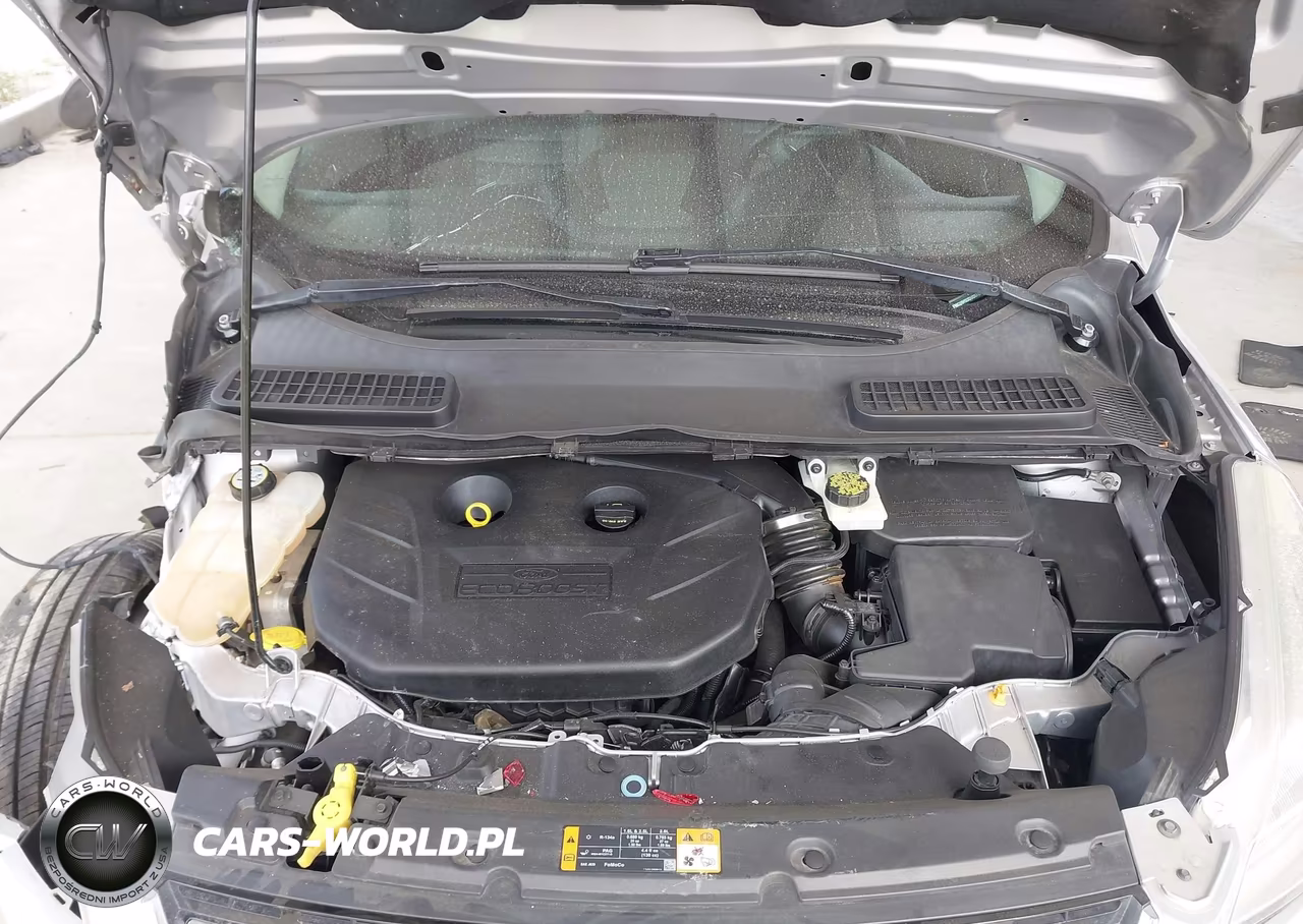 2013 Ford Escape Sel VIN:1FMCU9H93DUD57966 - 10