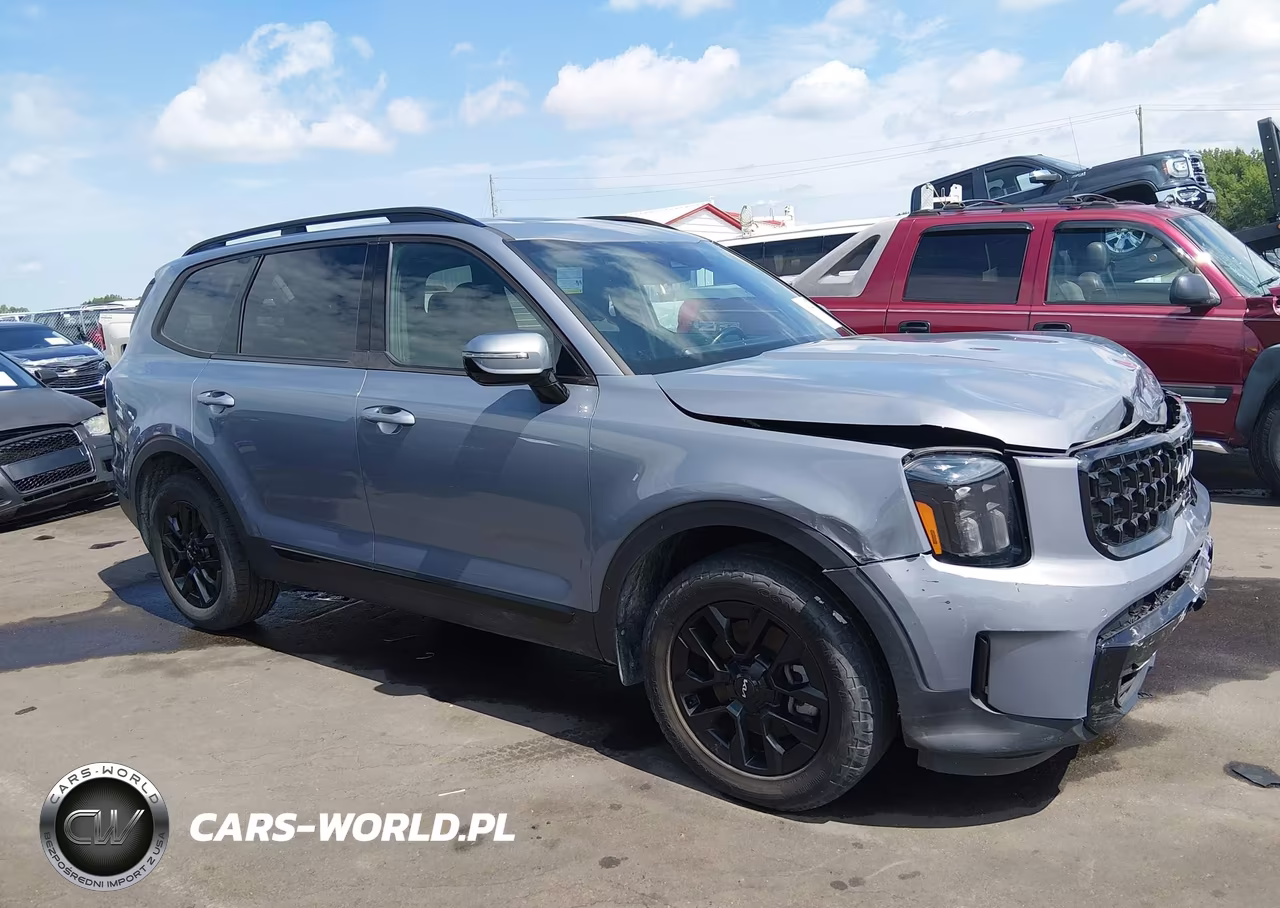 2024 Kia Telluride Sx Prestige X-Pro VIN:5XYP5DGCXRG435882 - 1