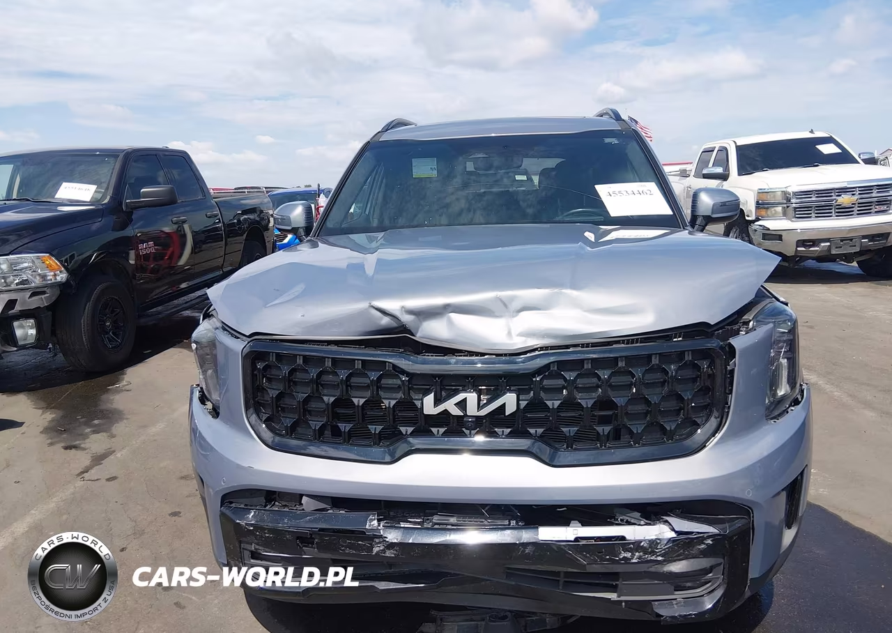 2024 Kia Telluride Sx Prestige X-Pro VIN:5XYP5DGCXRG435882 - 12