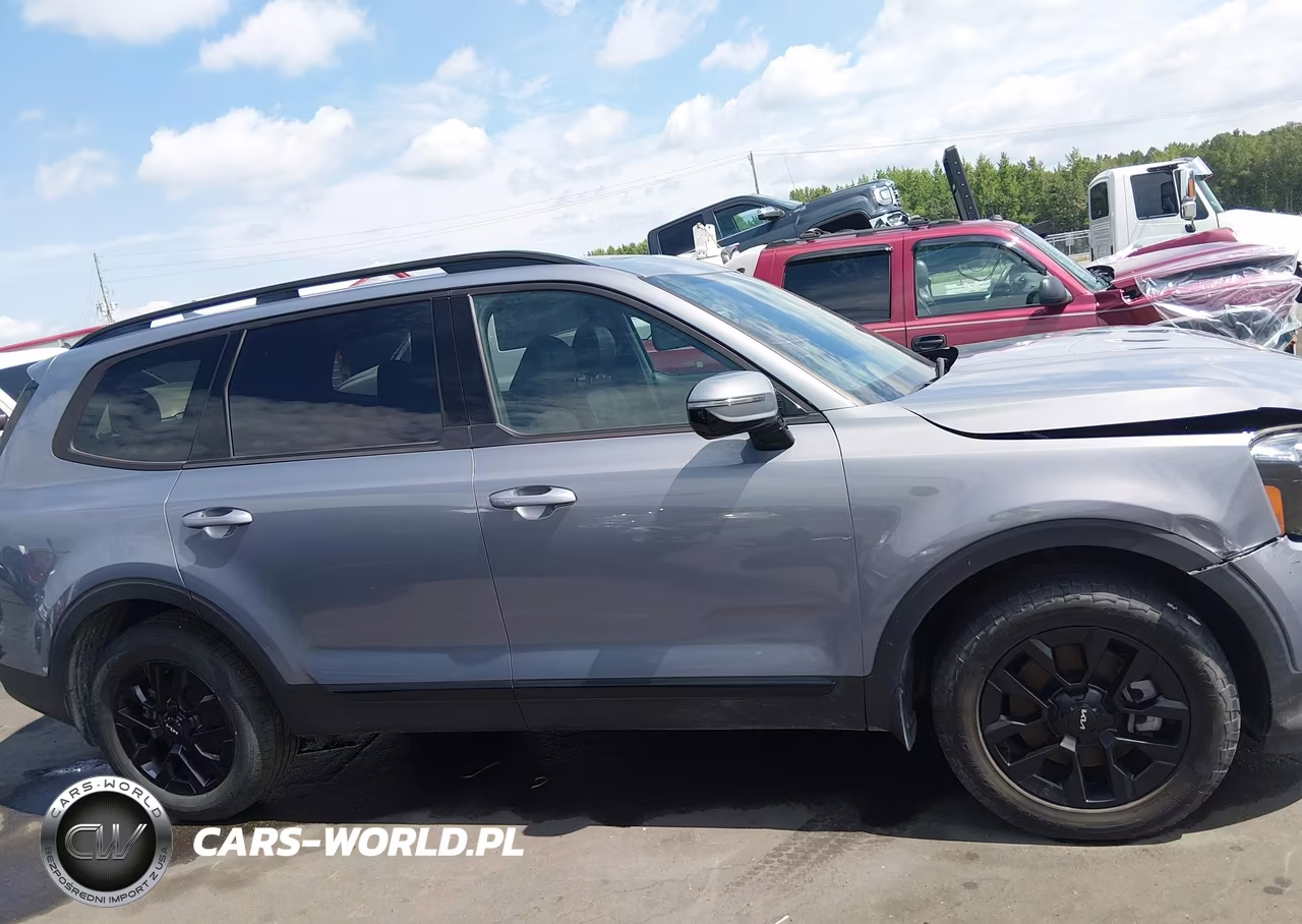 2024 Kia Telluride Sx Prestige X-Pro VIN:5XYP5DGCXRG435882 - 13