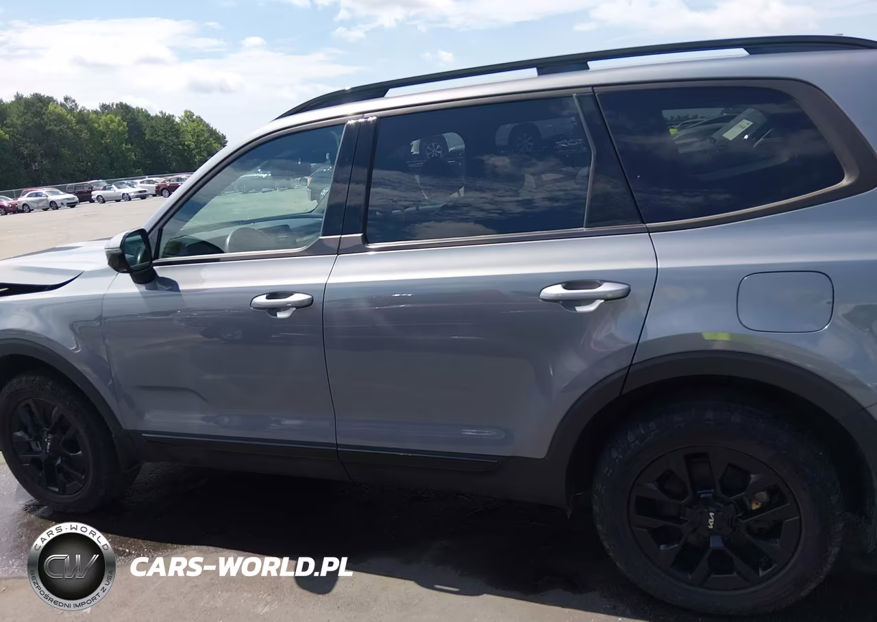 2024 Kia Telluride Sx Prestige X-Pro VIN:5XYP5DGCXRG435882 - 14
