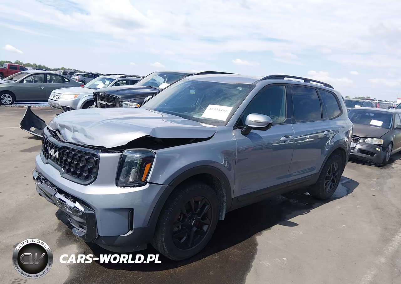 2024 Kia Telluride Sx Prestige X-Pro VIN:5XYP5DGCXRG435882 - 2
