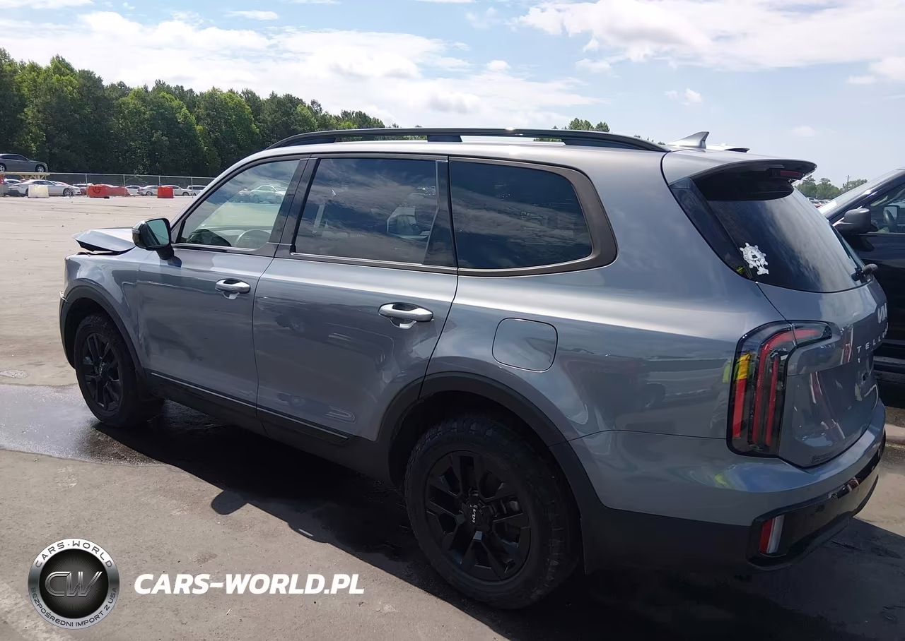 2024 Kia Telluride Sx Prestige X-Pro VIN:5XYP5DGCXRG435882 - 3