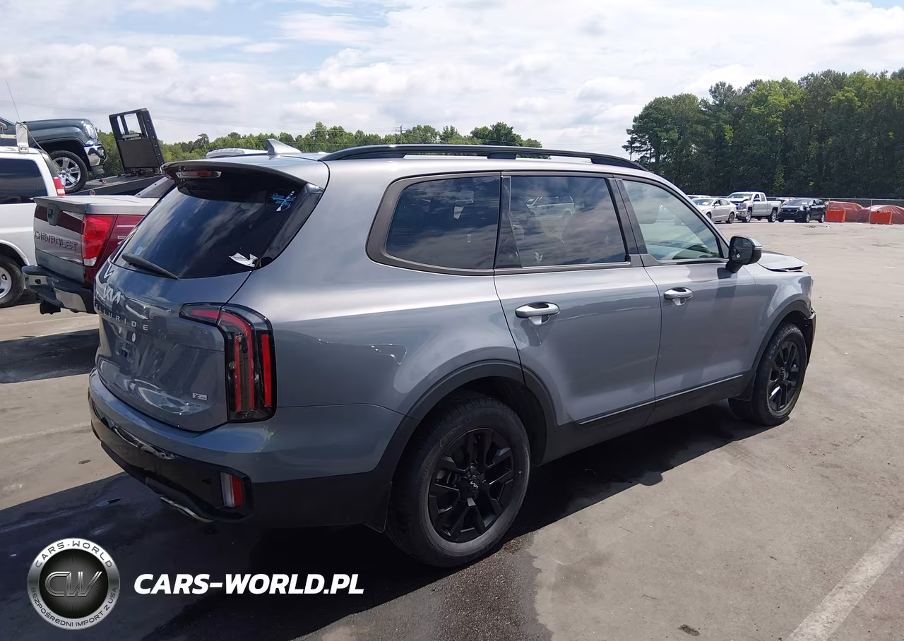 2024 Kia Telluride Sx Prestige X-Pro VIN:5XYP5DGCXRG435882 - 4