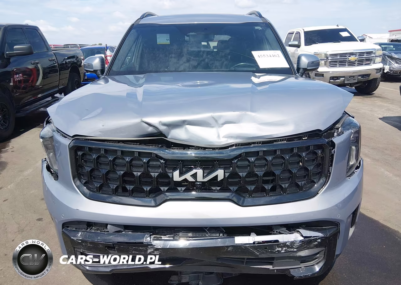 2024 Kia Telluride Sx Prestige X-Pro VIN:5XYP5DGCXRG435882 - 6