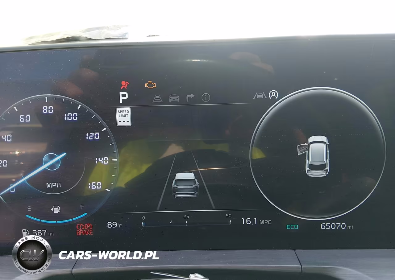 2024 Kia Telluride Sx Prestige X-Pro VIN:5XYP5DGCXRG435882 - 7
