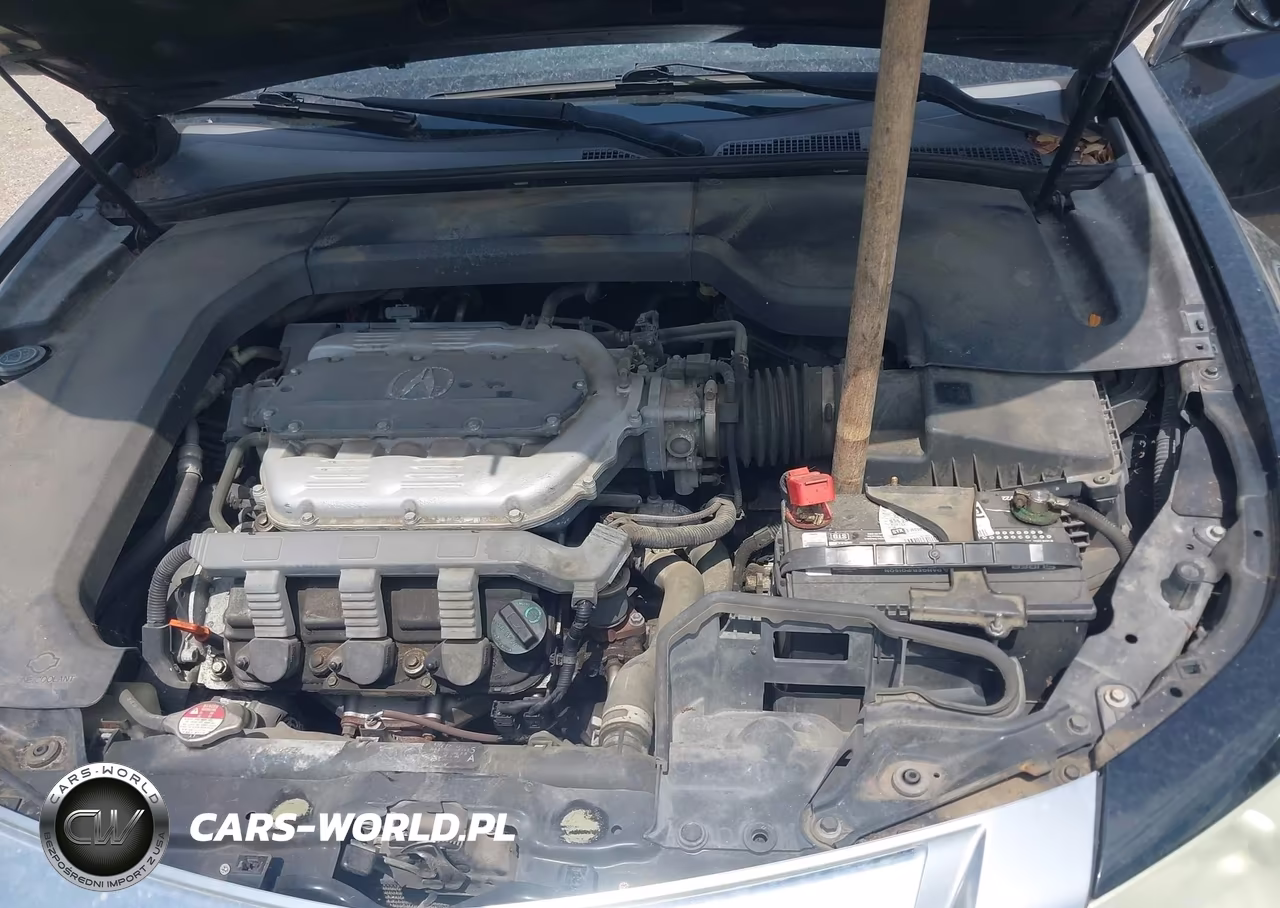2009 Acura Tl 3.5 VIN:19UUA86269A001135 - 10